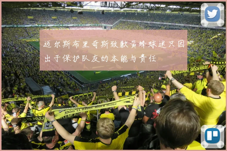 迈尔斯布里奇斯致歉黄蜂球迷只因出于保护队友的本能与责任