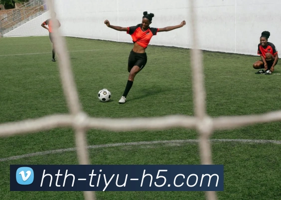 华体会体育服务体系